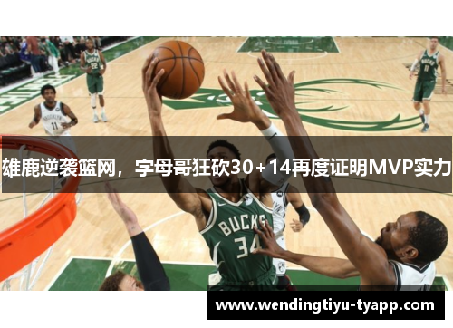 雄鹿逆袭篮网，字母哥狂砍30+14再度证明MVP实力