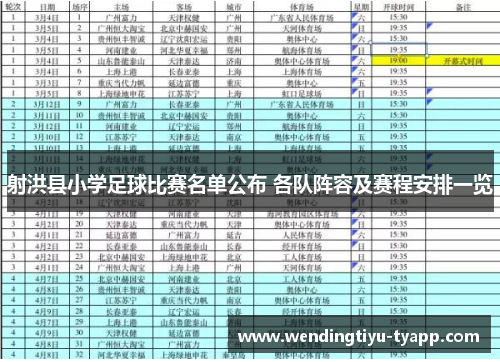 射洪县小学足球比赛名单公布 各队阵容及赛程安排一览
