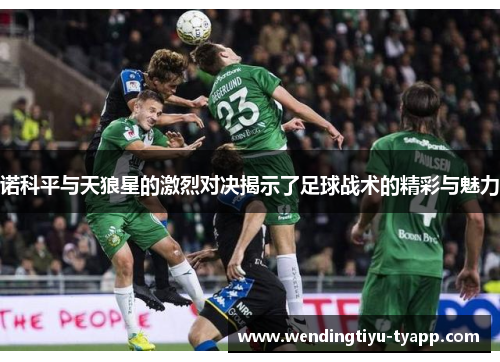 诺科平与天狼星的激烈对决揭示了足球战术的精彩与魅力